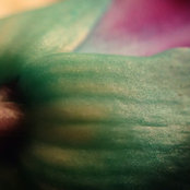 Rutu Patel's photo