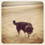 Chaz Brogan's photo