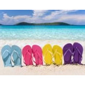 Maureen Wesner's photo