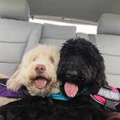 Cathy Dorchuck's photo