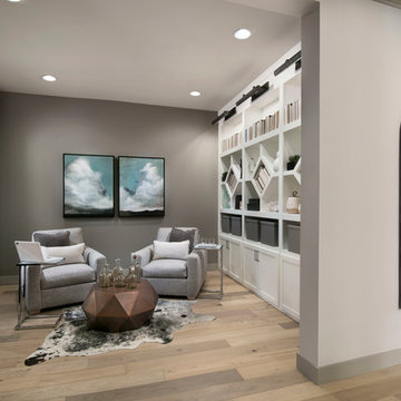 Latitude at Cantilena | Peoria, AZ | Summit Plan