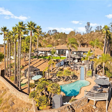 Resort-Style Backyard with Pool, Waterslide, and Palm Trees