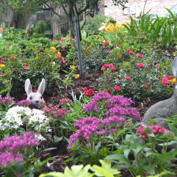 A Fairy Garden