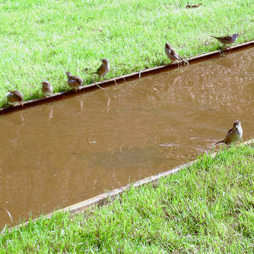 Privatgarten E.