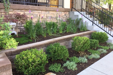 Inspiration for a small transitional front yard landscaping in Denver.