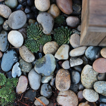 Cedar Soaking
