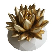 Laguna accessories