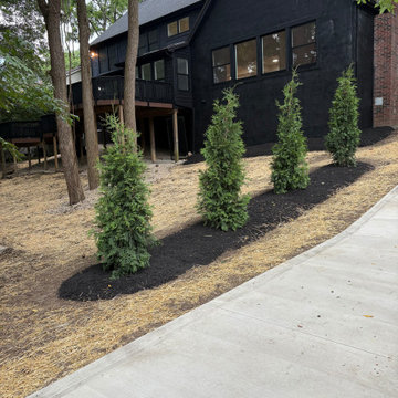 Front Yard Redesign
