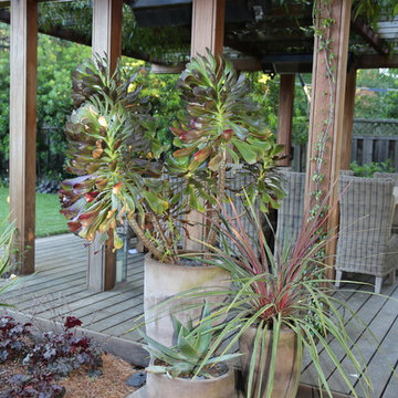 Menlo Park Garden Retreat