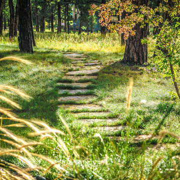 Landscape in the Forest