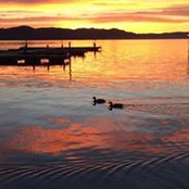 Beth Chesnut's photo