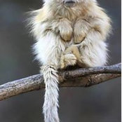 Melanie Thomas's photo