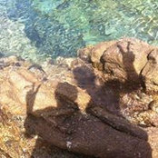 Photo de Lôra Le Poder