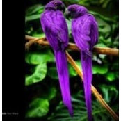 Donna Stroud's photo