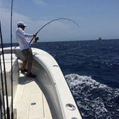 Mark Richner's photo