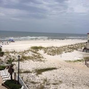 Michele Moreland's photo