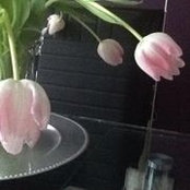 Foto von Anne Dunning Fitzjohn