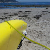 Elise Celeste's photo