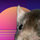 ratthew