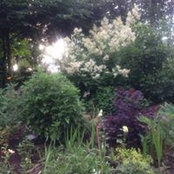 Lorna Erwin's photo
