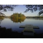 Tim Soley's photo