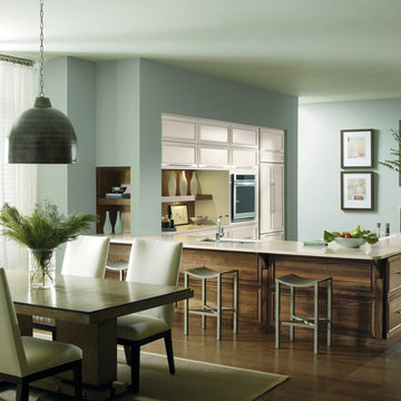Modern Kitchen Gallery