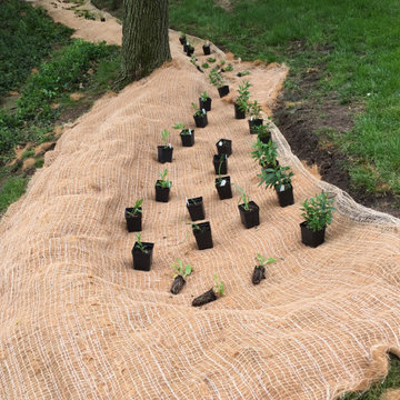 Native Plant Landscaping, Hardscaping, and Bioswales