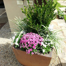 Landscaped Pots - Products
