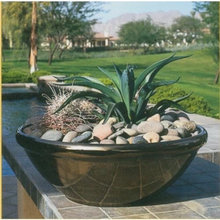 garden ideas