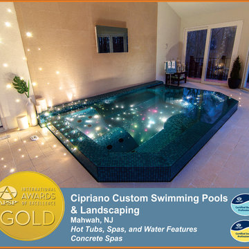 2014 APSP International Awards of Excellence