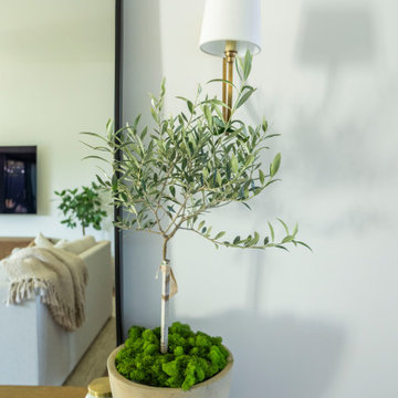 Dana Point Costal Contemporary