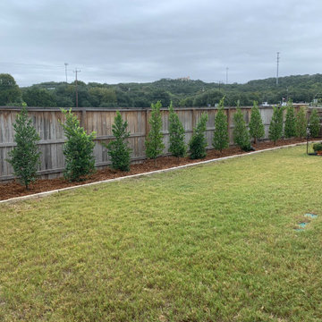 Cherry Laurel, cedar mulch, weed barrier fabric, chop stone border install