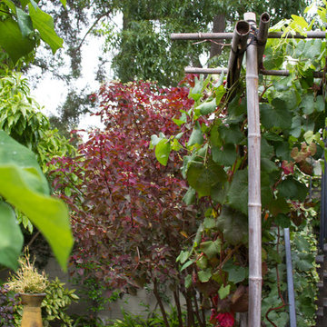 Secret Sanctuary Garden