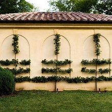 espalier