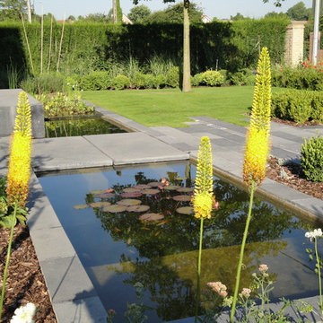 Terrasse avec bassin
