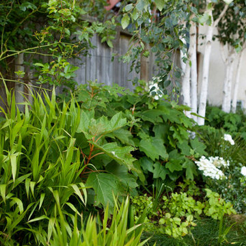 Rhode Island Street Garden
