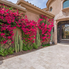 Back Patio (Camarillo)