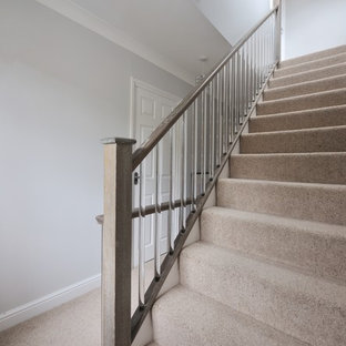 Photo of a medium sized contemporary carpeted straight wood railing staircase in Other with wood risers.