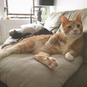Doug Barton's photo