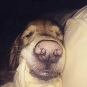 Heather Roundtree's photo
