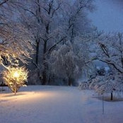Vicki Schrader's photo