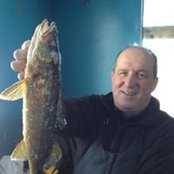 Michael Downey's photo