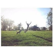 Lillian Webb's photo