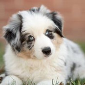 Ellen Brenner's photo