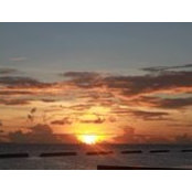 Tracey Stevenson's photo