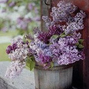 Melanie Sutton's photo
