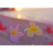 Peggy Britt's photo