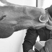 Ines Kovacevic's photo
