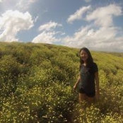 June Lin's photo