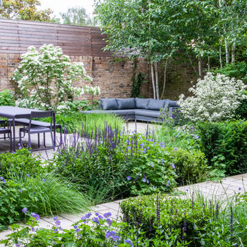 Small Contemporary Garden Blackheath